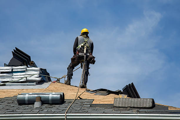 Professional Roof Replacement technician working in Renville, MN